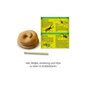 Krabbel-Alarm im Kackhaufen (24 Ex. im Display) (Auslauf)