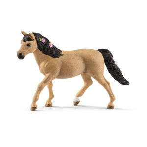 Connemara Pony Stute          (Auslauf)