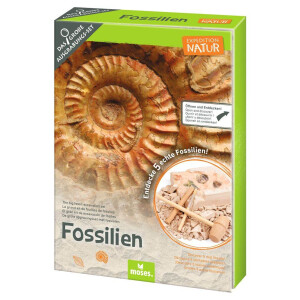 Expedition Natur Das gro&szlig;e Fossilien-Ausgrabungs-Set