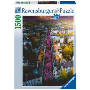 Ravensburger - Blühendes Bonn, 1500 Teile