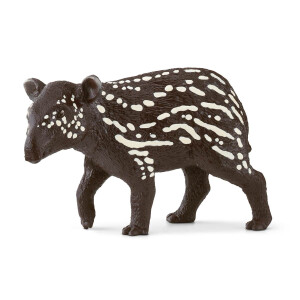 Tapir Junges (Auslauf)