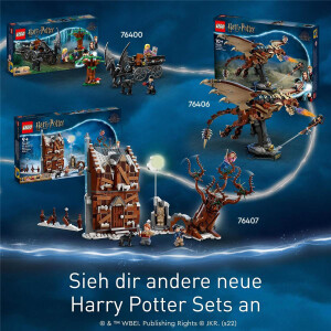 LEGO Harry Potter 76400 - Hogwarts Kutsche mit Thestralen
