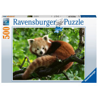 Ravensburger Puzzle 17381 Süßer roter Panda - 500 Teile Puzzle für Erwachsene und Kinder ab 1´2 Jahren