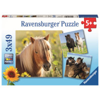 Ravensburger - Liebe Pferde, 3 x 49 Teile